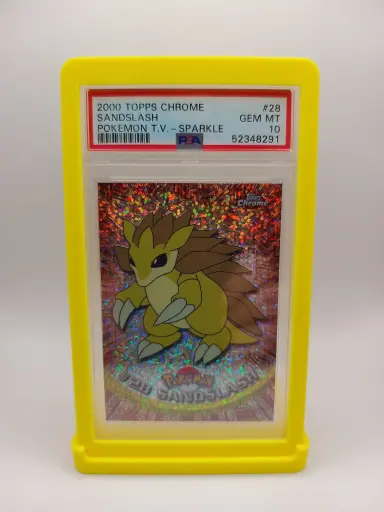 PSA Case Slab Bumper